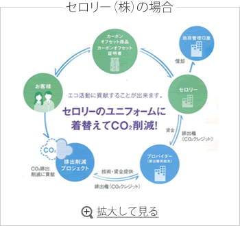 セロリー（株）の場合